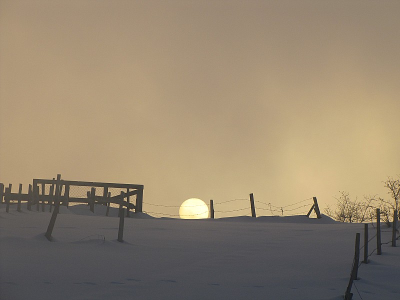 soleil couchant : le soleil au milieu du brouillard