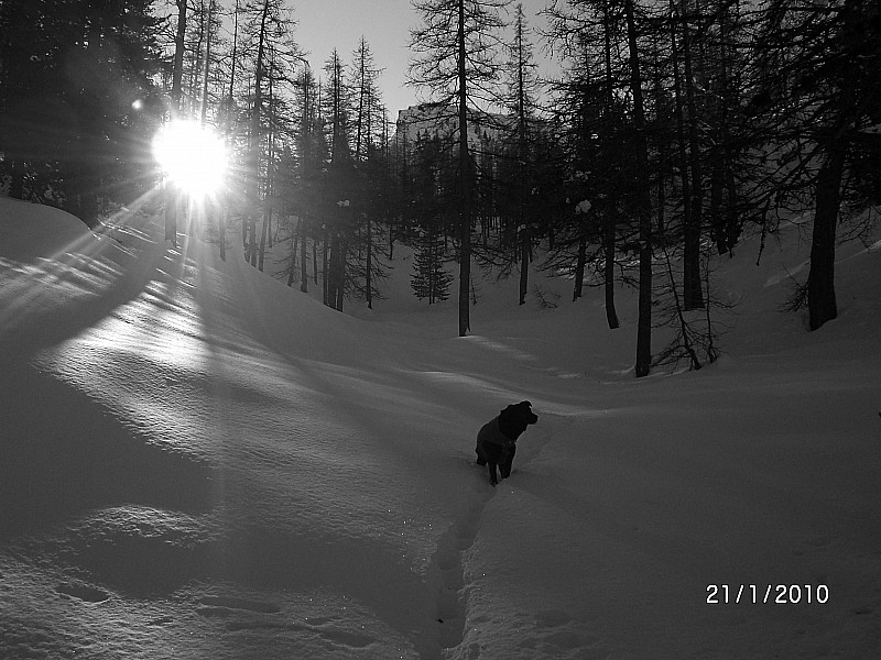 Bois de Bramafan : I'm a poor lonesome créature , far away from home...