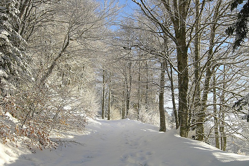 Sentier vers Meije Costes : Quelle lumière!