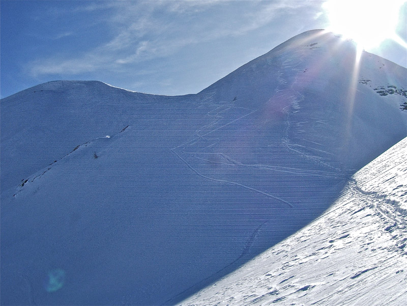 Pepino : Minable nos traces.