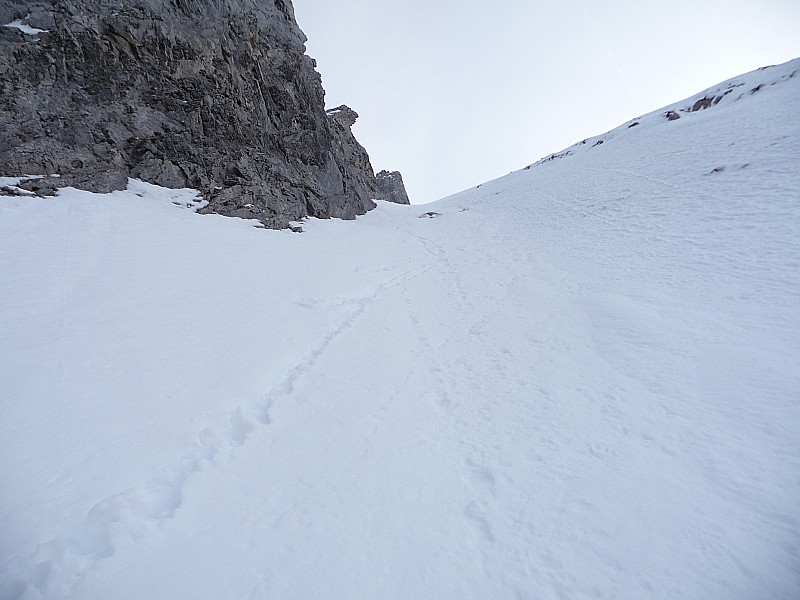rampe inférieure : çà y'est la première rampe : neige poudreuse à droite(réservée pour la descente) et neige un peu plus tassée à gauche