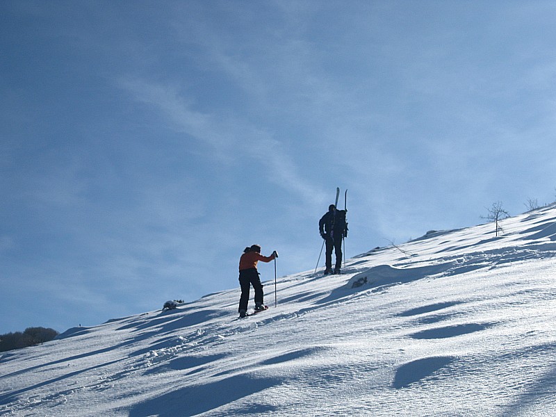 à la sortie du bois