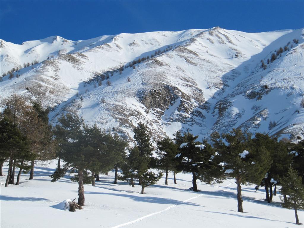 versant de montée : versant de montée vu depuis la cote 1600 m