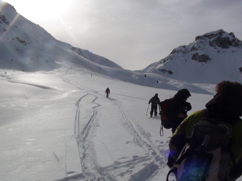 Schuss vers la forêt : L'écoulement laminaire de la neige le long des ski y est presque poétique