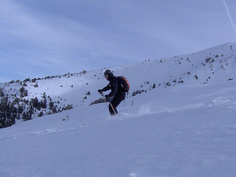 La banane : La banane...mais pas la peine de partir dans la tarentaise...