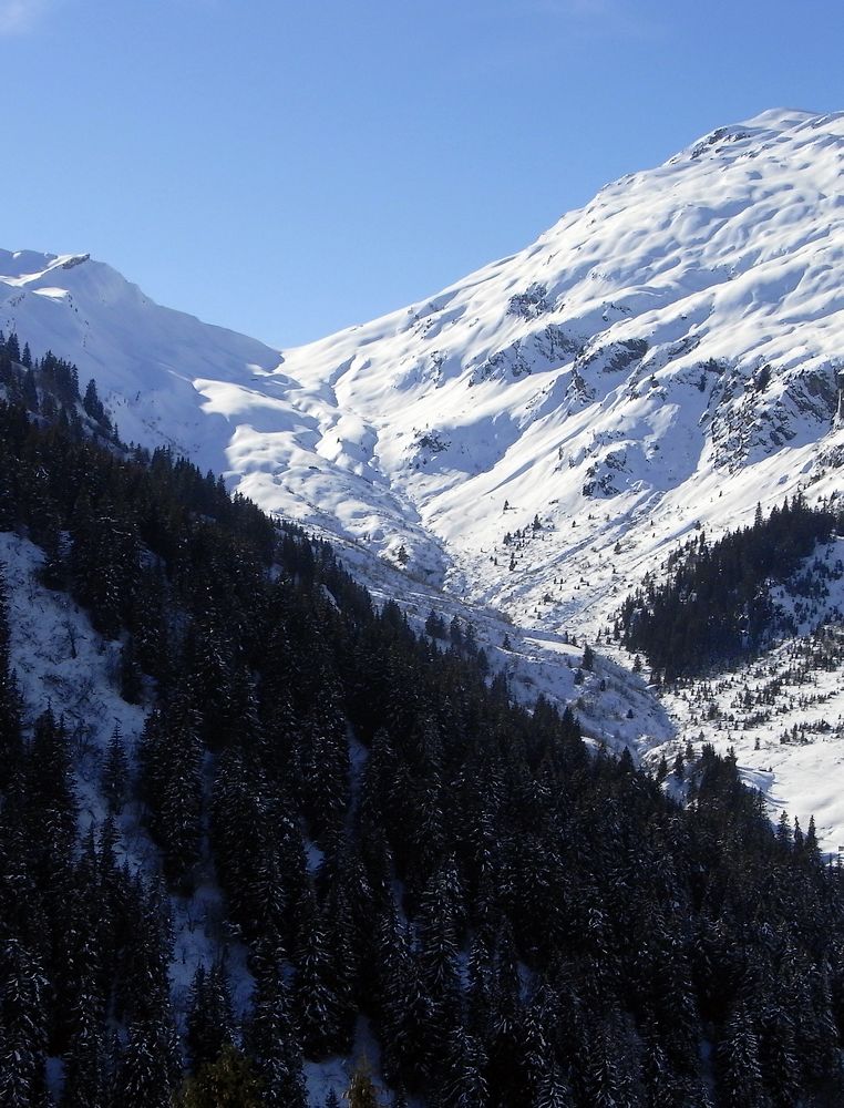 Vue sur la combe : que domine le col de la Louze