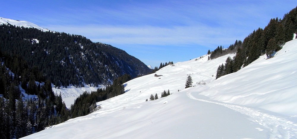 Et c'est reparti... : obliger de repauter sur la route...