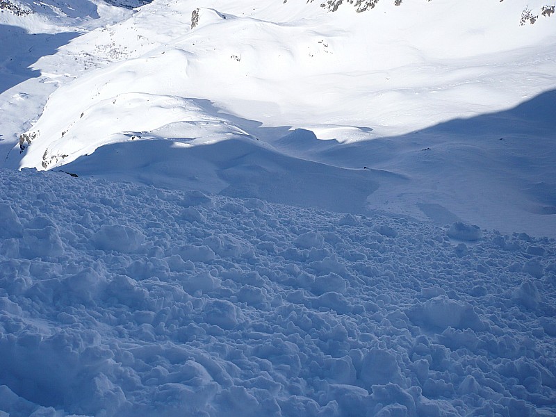 deuxième partie : l'avalanche à franchi une rupture de pente et a continué sa course 200 m plus bas environ