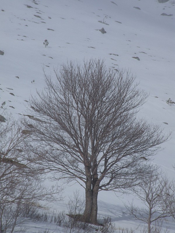 face sud est : on voit derriere le manque de neige sur la face sud est