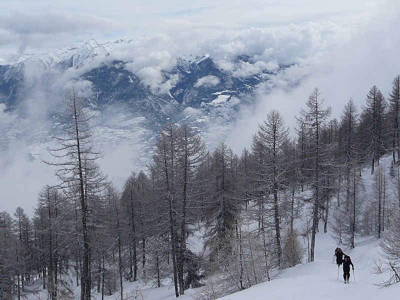 Tête de Fouran : Forêt bonne neige