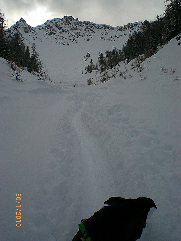 #1 crête de la Lauze : Haut du ravin, sous la crête des Granges crête de la Lauze : Haut du ravin, sous la crête des Granges