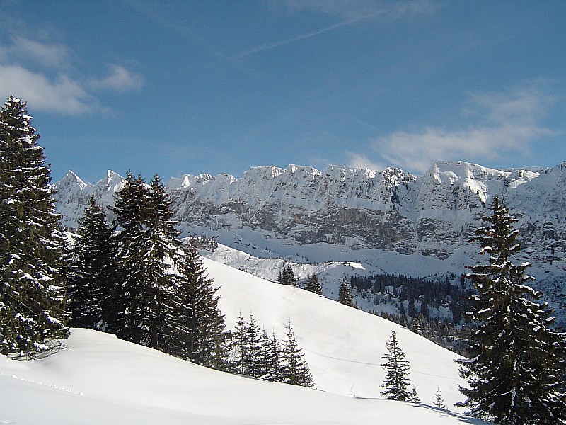 03 02 10 : Paysage agréable avec le soleil !...