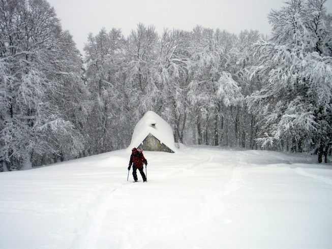 Habert : On repart sous la neige sans conviction...