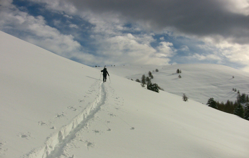Cathy à la trace, trace profonde