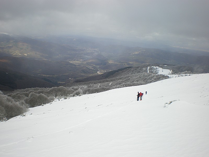 Montée sous le col de Rieutort : Sortie du bois sous le col de Rieutort à l'écart de la voie normale. Au fond Foix