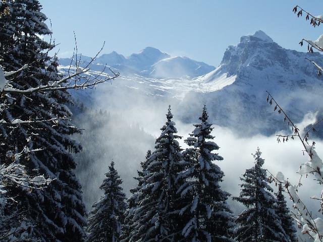 Pointe rousse de Criou : Depuis le chemin forestier, le Mont-blanc pointe son nez ...