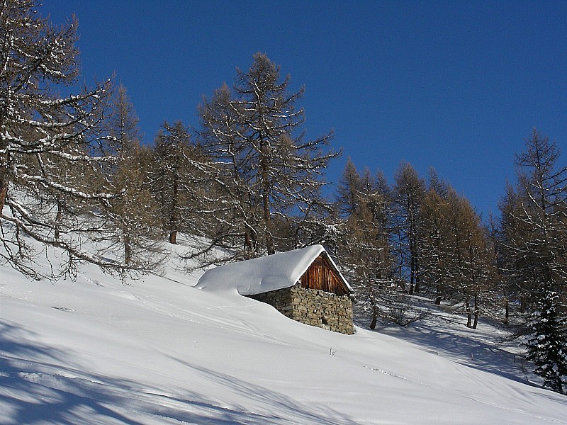 Chalet d'alpage : la petite maison dans le bois de meleze