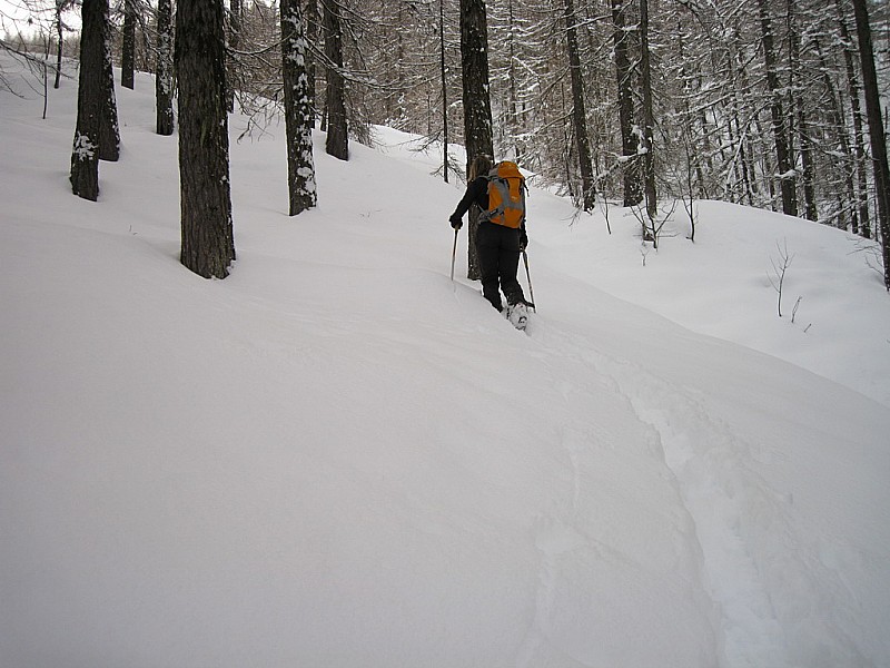 5905 : Colette à la trace, le 09 02 2010
Depuis la base de loisirs
