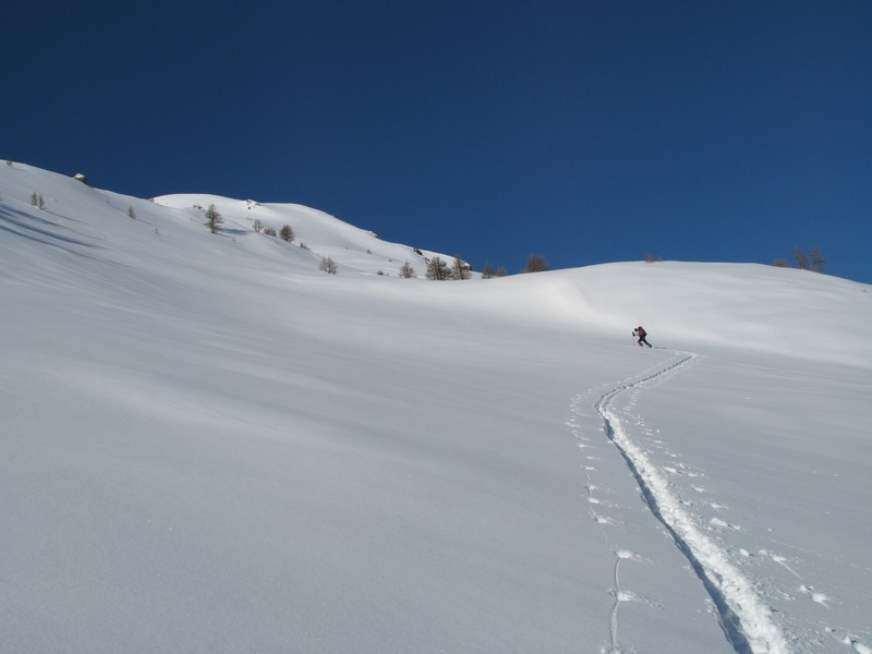 montée : nous irons jusqu'aux petits mélèzes les plus lointains