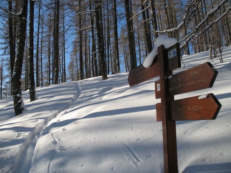 sentier Widman : belle trace par le sentier