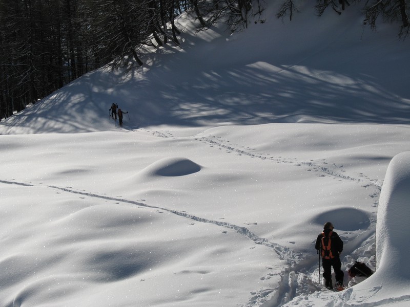 trace par la croupe : nous poursuivons le plus possible dans le sous-bois