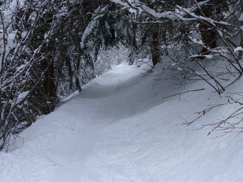 Traversée dans les bois : La quantité de neige est suffisante à présent