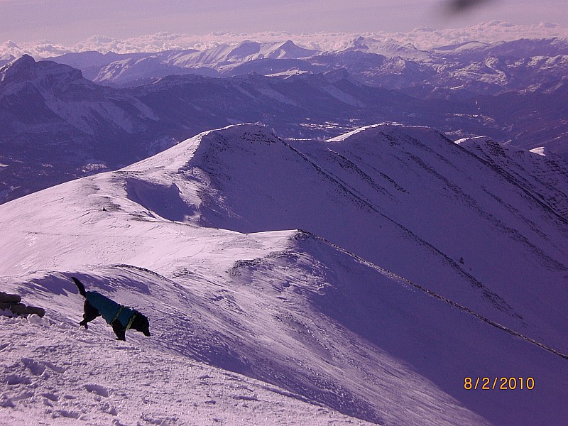 Blayeul 3 : crête sommitale sud, vers Digne.