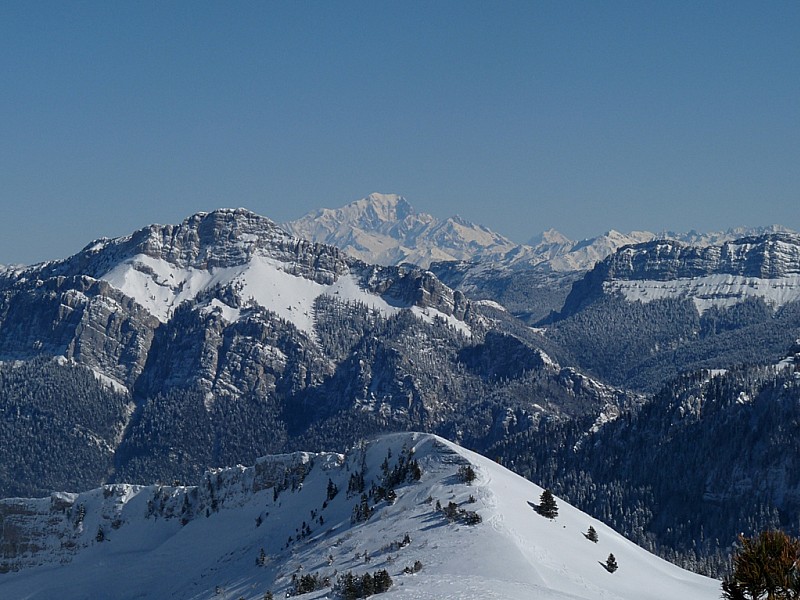 Le Mont Blanc : et le Grand Som.