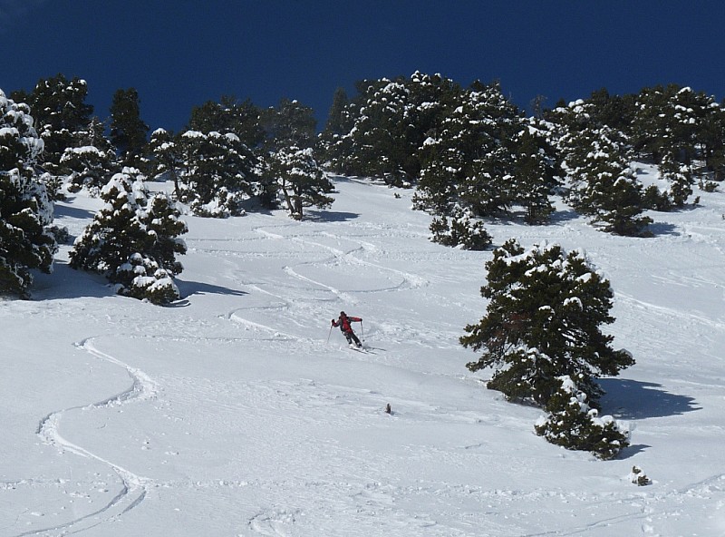 Rochers du Lorzier : Gui se lâche et se régale.