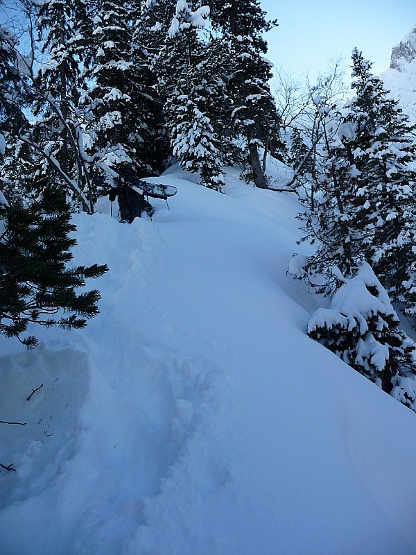 col d'Armenaz couloir Nord : la remontée sur la crête boisée, parallèle au couloir : histoire de compliquer un peu encore la montée !!