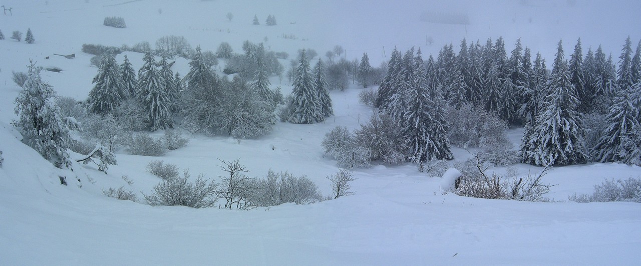La Renardière : Pas de Renard en vue!!