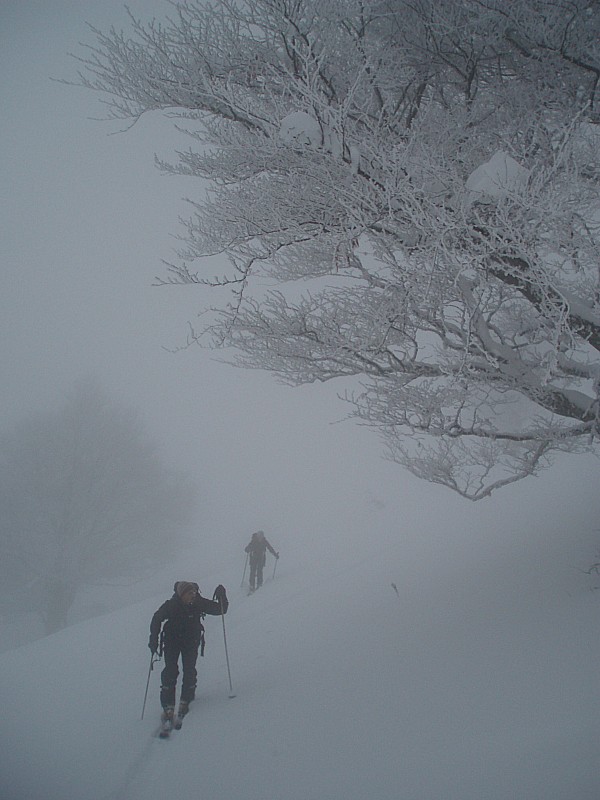 jour blanc : Super visibilité sur l'ensemble du massif  ;o(