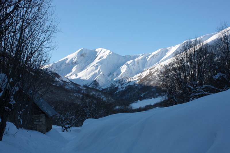 col de la vallette : pendant l'approche "ski de fond". L'objectif c'est la pente au soleil à droite derrière les arbres.