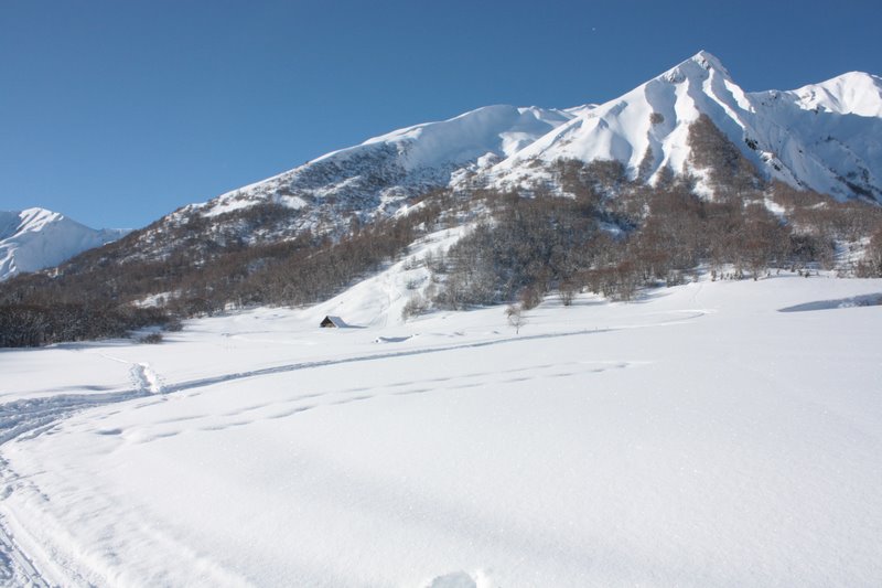 chalet : bien prendre devant le petit chalet la trace du chemin d'été pour traverser la forêt. Sinon...