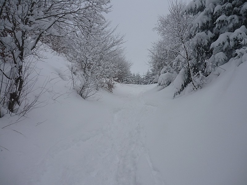 Chemin des muletiers : 30cm parfois + de neige fraiche ...  sur les muletiers!!!
qu'attendez vous les Auvergnats!