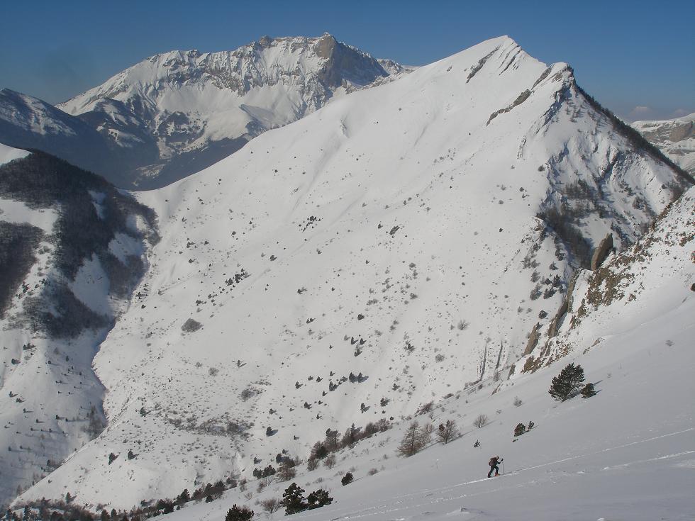 loulou en fini : pic melette bien blanc