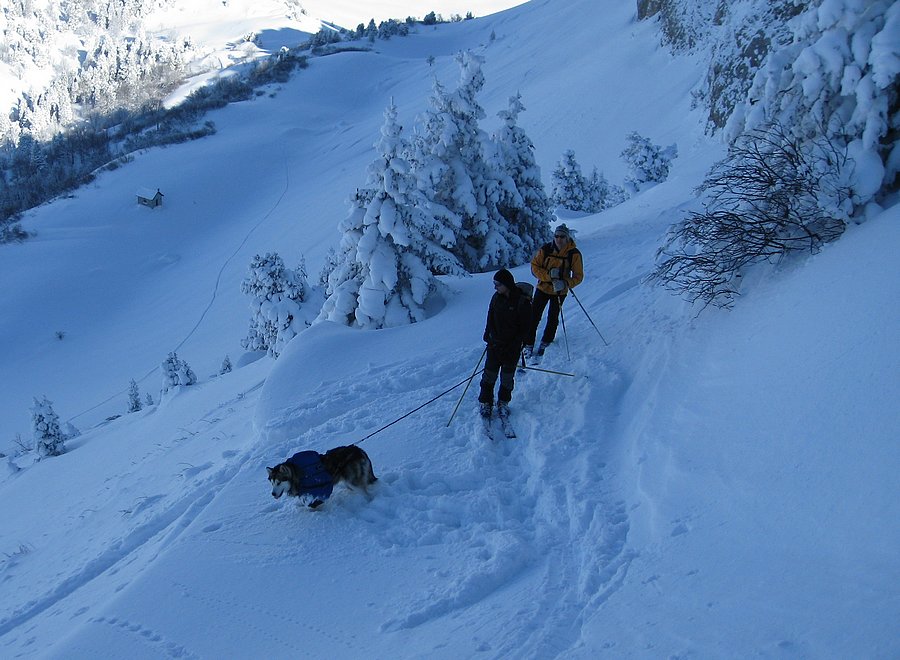#6 Kanuk et Cedric : en terminent Kanuk et Cedric : en terminent