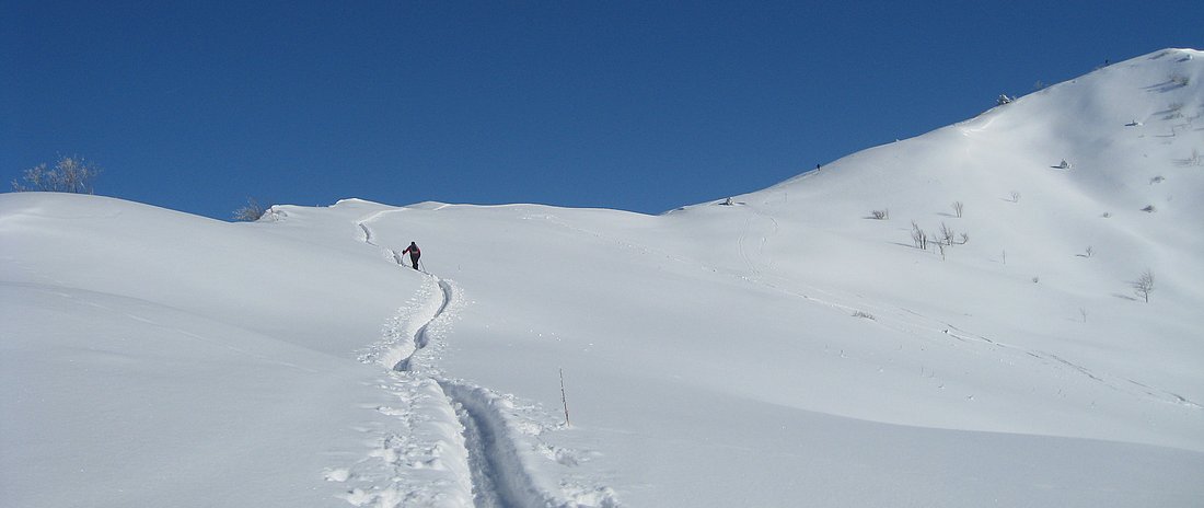 #2 Sortie de la forêt : Belle tranchée !! Sortie de la forêt : Belle tranchée !!
