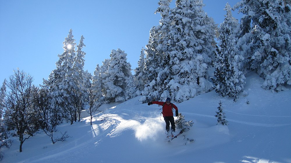 #11 Air Vinc Air Vinc'