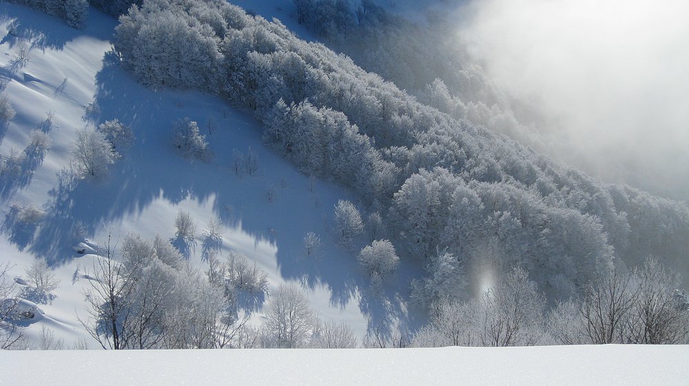 #3 Lumières d Lumières d'hiver : C'est par là que passera la descente