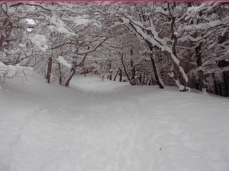 depart du chemin : Pas mal de neige tombée ces deux derniers jours