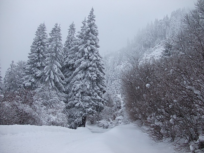 Puy de Dôme : Montée sur la route