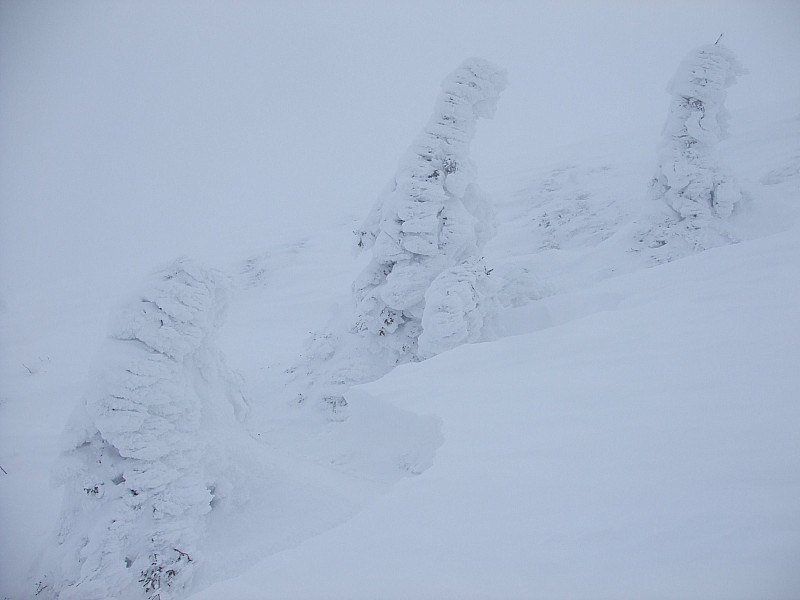 Puy de Dôme : Ambiance polaire au sommet : Le vent et le givre ont bien fait leur travail.