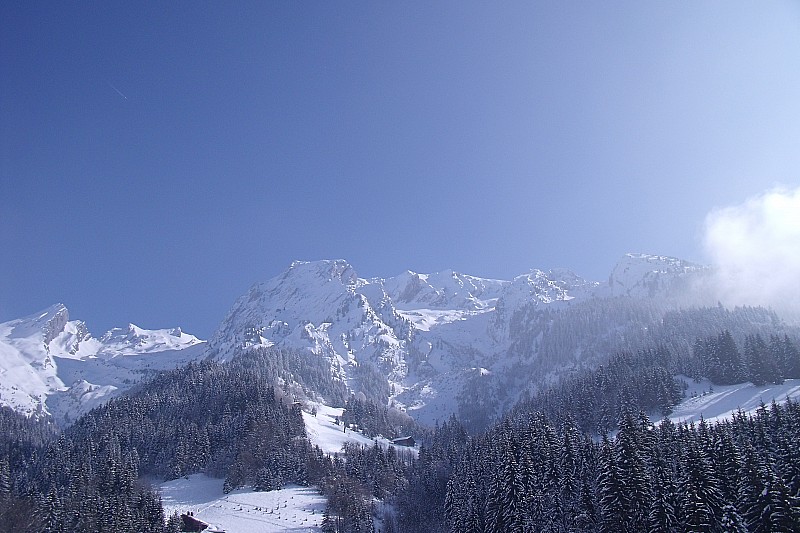 Etale : Qu'elle est belle cette étale en plein soleil!!!