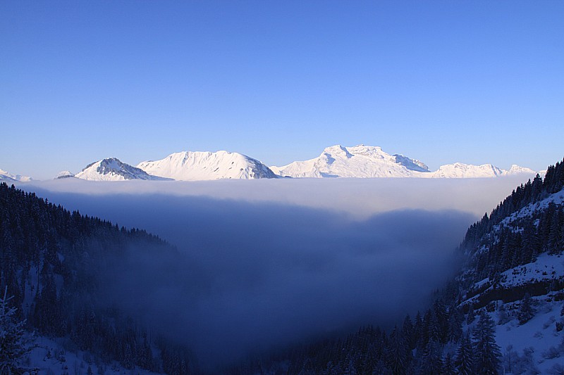 Brouillard : En sortant du Brouillard (la Tournette en arrière-plan)