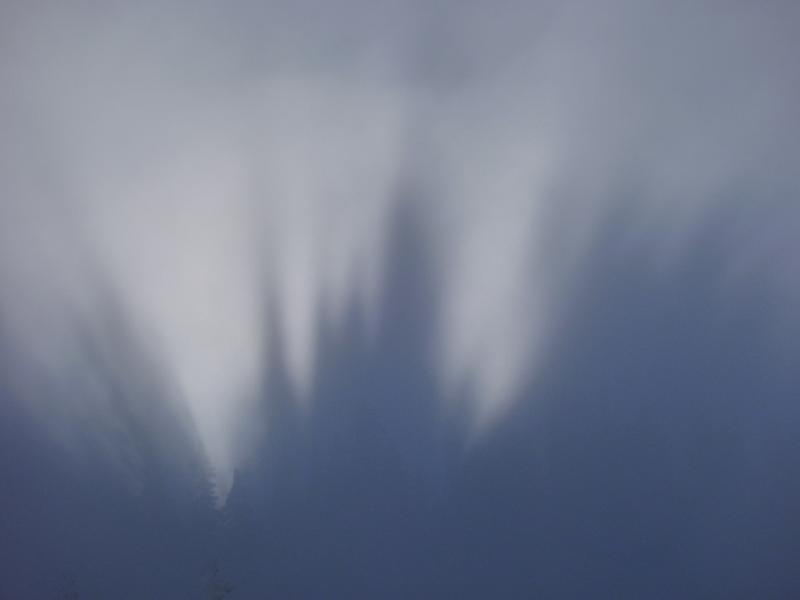 Charmant Som : jeux de lumiere : ombres des cimes des sapins projetées sur le brouillard