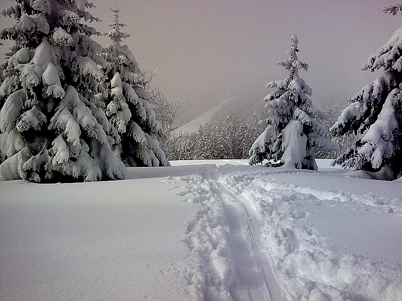retour dans la crasse : et le froid