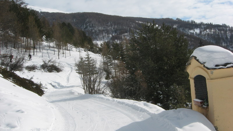 Sous Prat Haut : Fin du ski combat dans les génévriers, on rejoint la trace des escartons