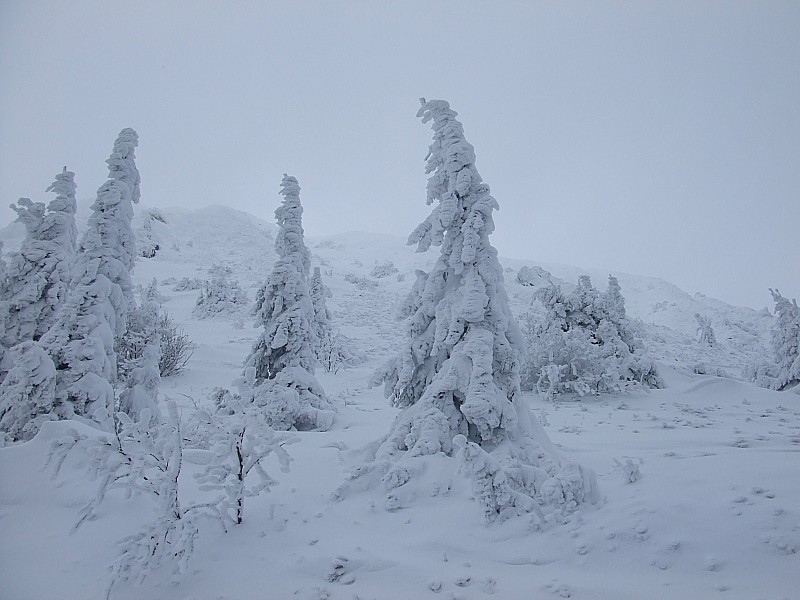 Puy de Dôme : Versant nord : ambiance...