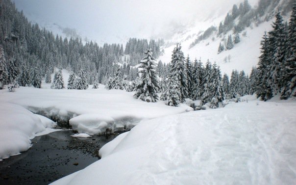 Début de la montée : Un peu au dessus du lac des plagnes